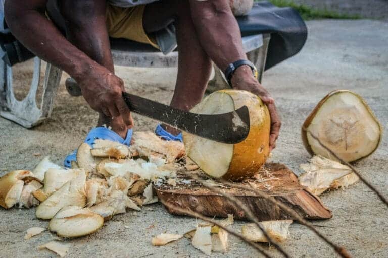 Visit local coconut sugar producer and see how it's made coconut opening - Bangkok Health Service