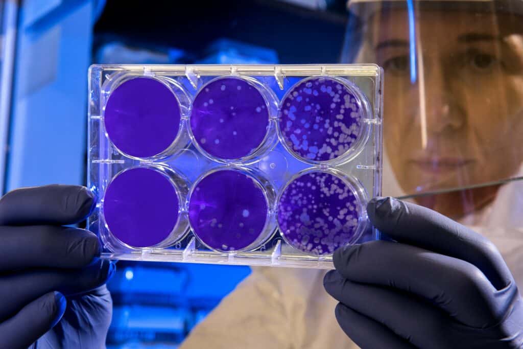 Stem Cell Therapy in Bangkok | Regenerative Medicine Thailand