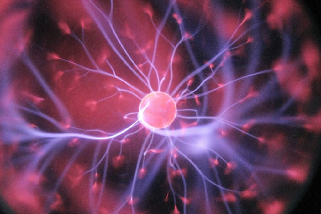 How to Boost Stem Cells Naturally | Bangkok Wellness Tips