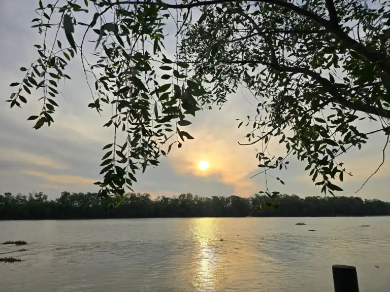 Tranquil river scene with overhanging tree branches during sunset, emphasizing natural beauty and serenity - River from Sanpudard Wellness Club