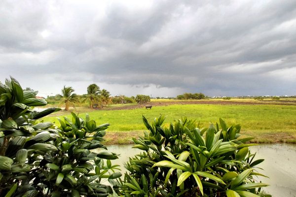 25-thai-countryside-retreat-rice-field-view