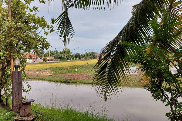 32-thai-countryside-retreat-water-view