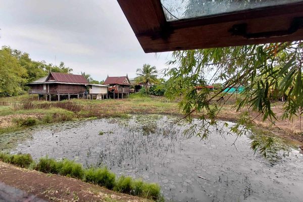 52-ayutthaya-retreat-water-garden-view
