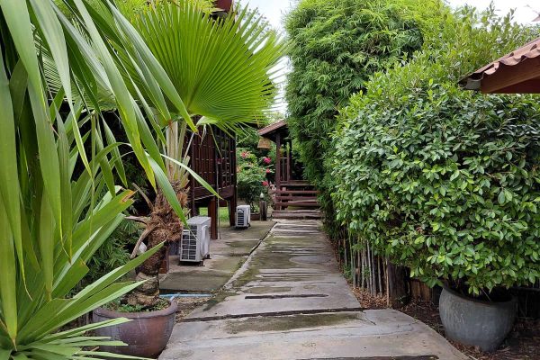 61-ayutthaya-yoga-retreat-tropical-walkway