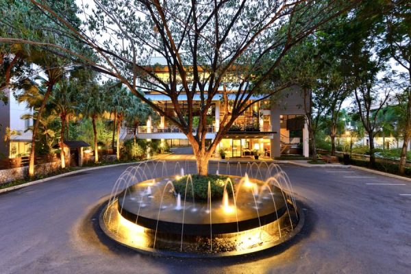 Circular illuminated fountain beneath a large tree at the accommodation entrance after dark