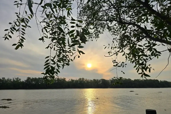 Tranquil river scene with overhanging tree branches during sunset, emphasizing natural beauty and serenity - River from Sanpudard Wellness Club
