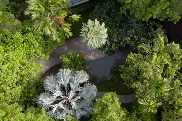 Aerial view of dense tropical gardens surrounding the group's Bangkok accommodation